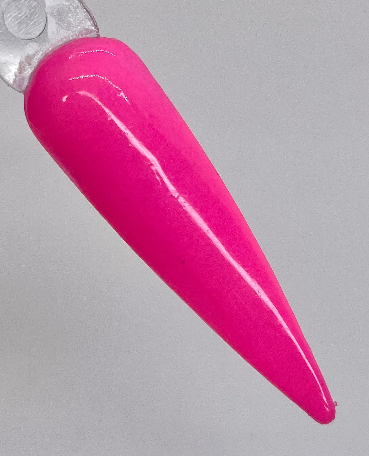 Pink Flamingo #323