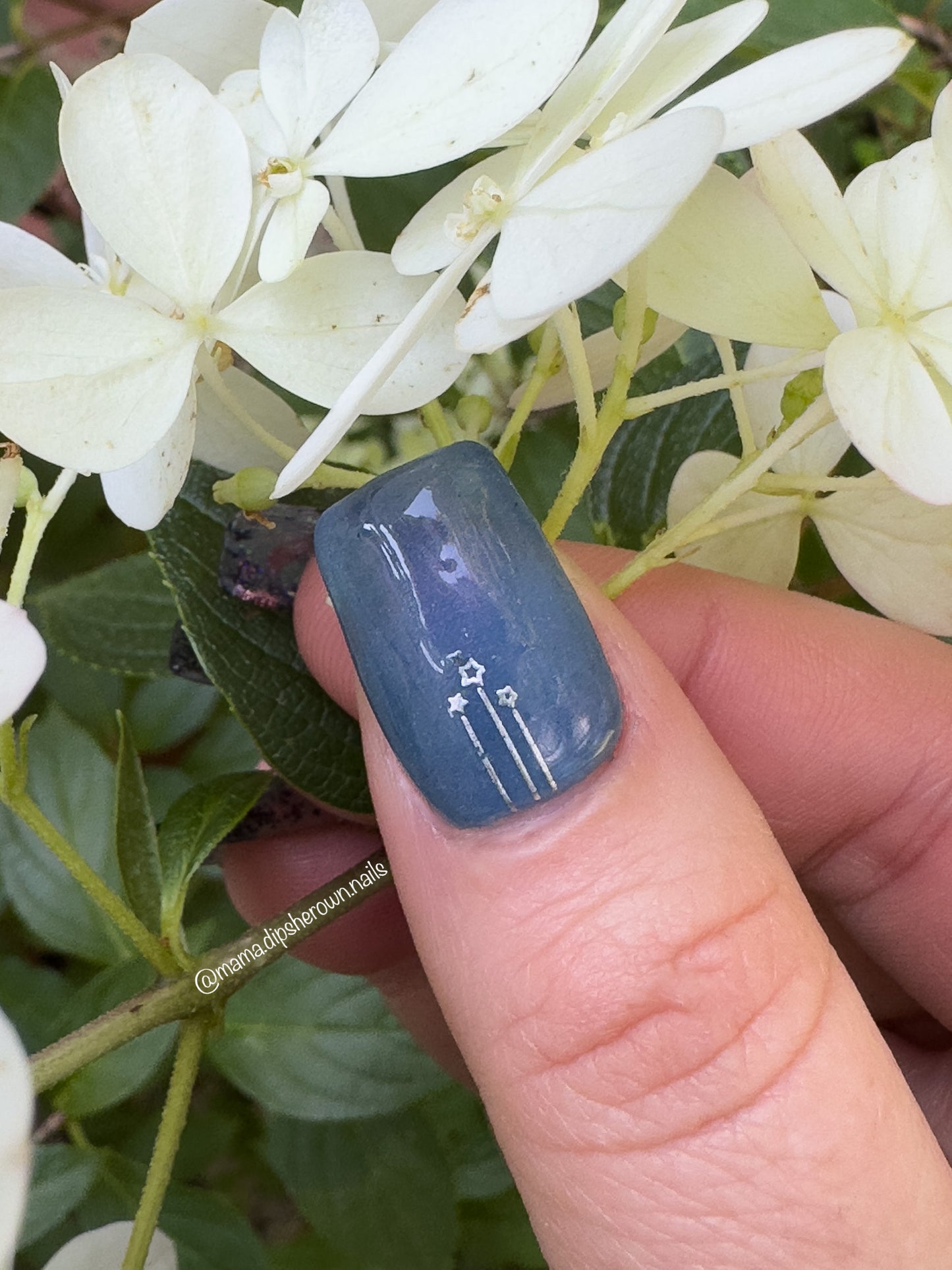 Nebula - #287