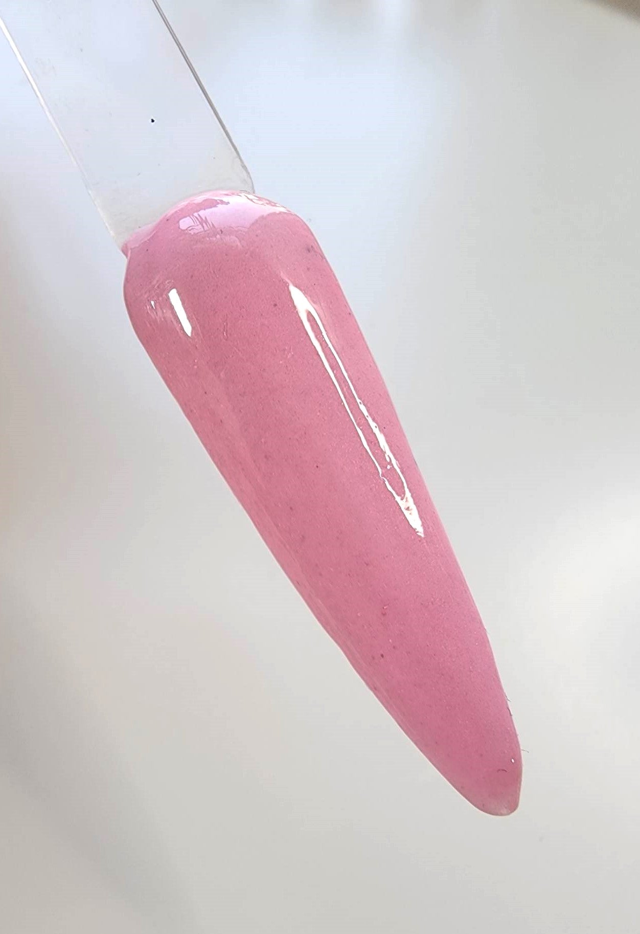 Bubble Gum Peep - #068