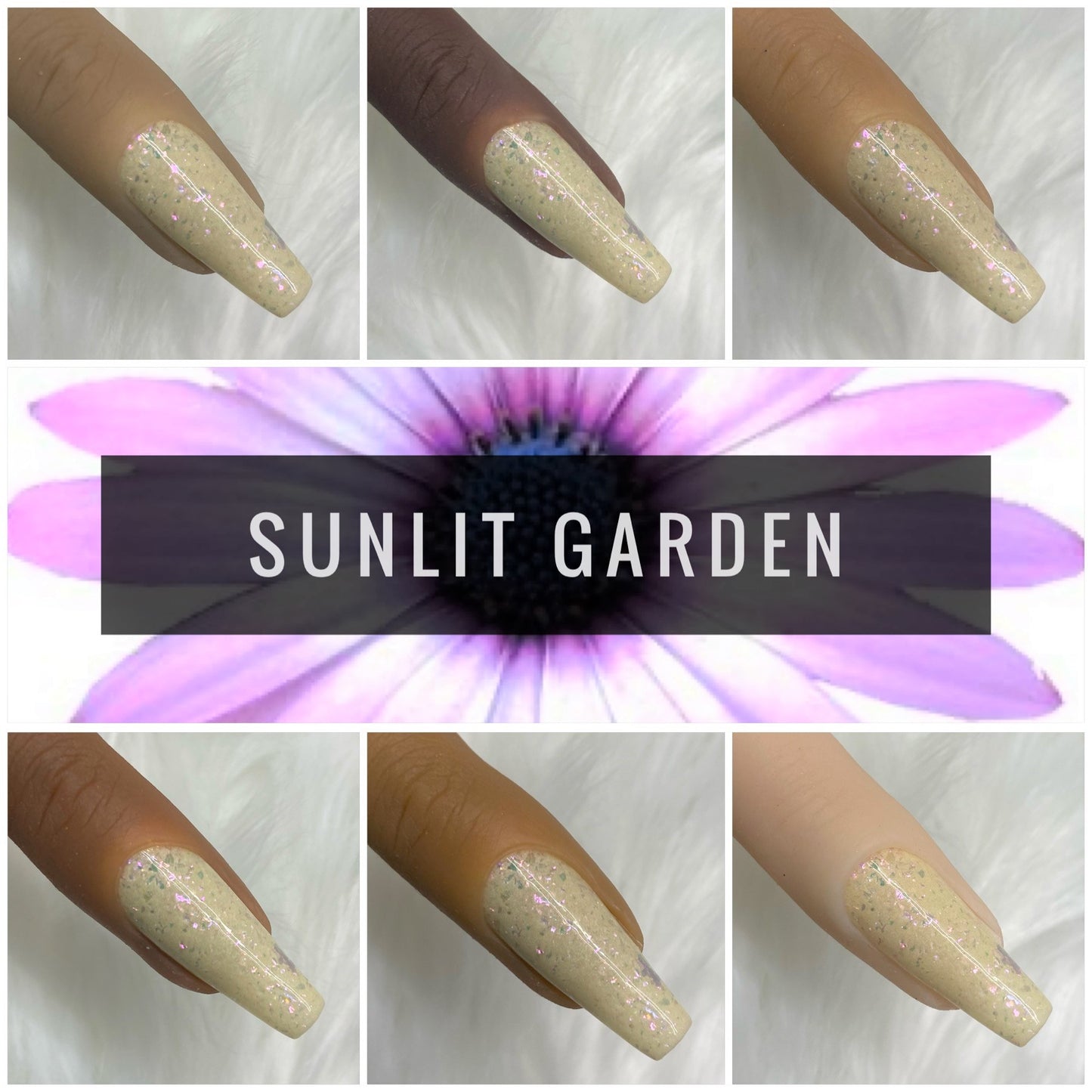 Sunlit Garden - #411