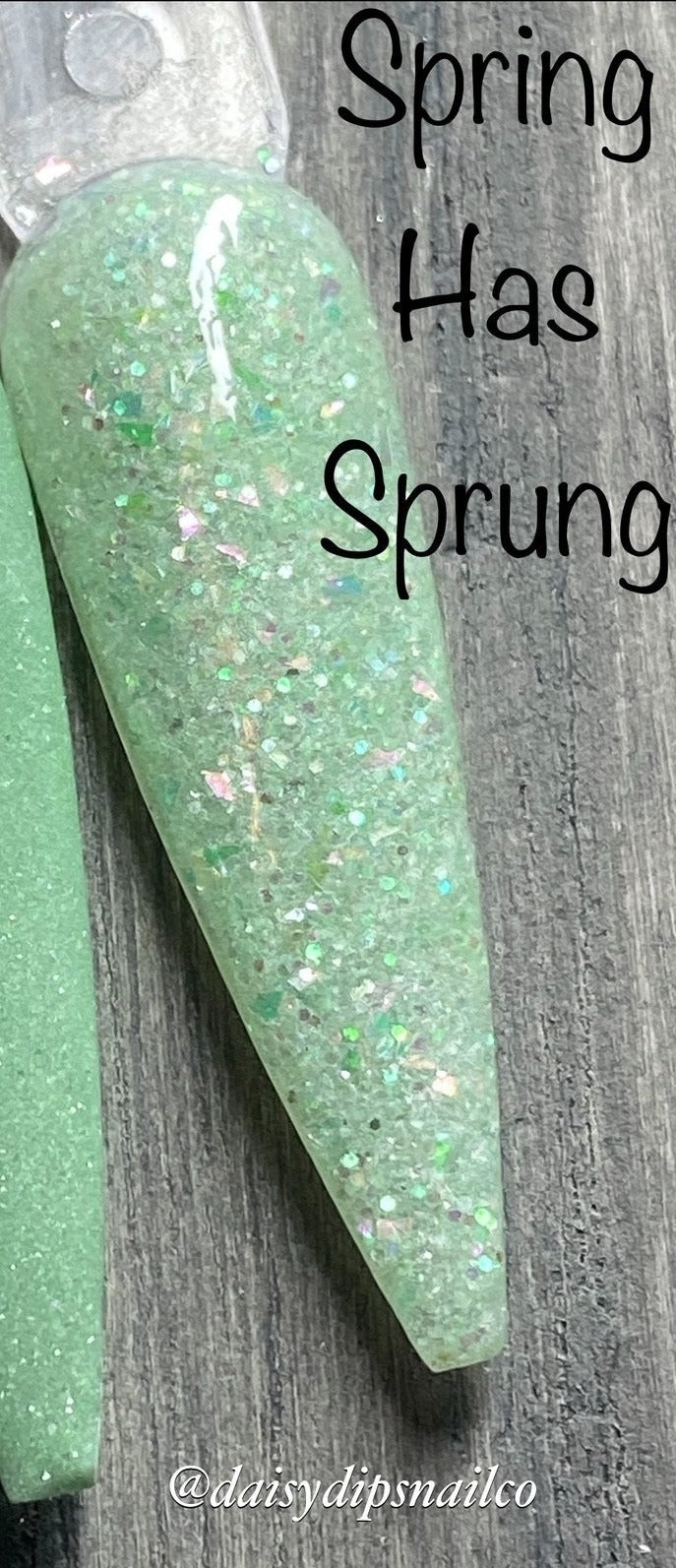 Spring Has Sprung - #393