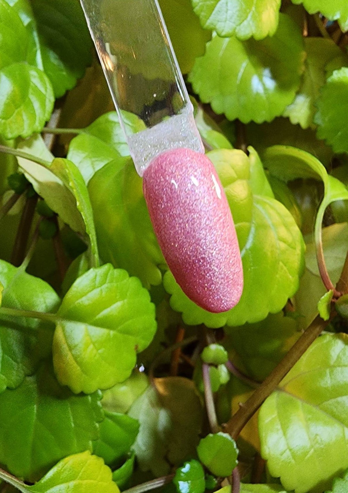 You had Me at Rosé - #480